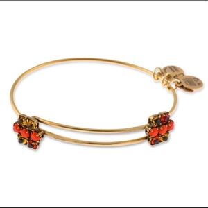 Alex and Ani Coral Brown Rhinestone 2014 Carnival Collection Bracelet Boho Chic